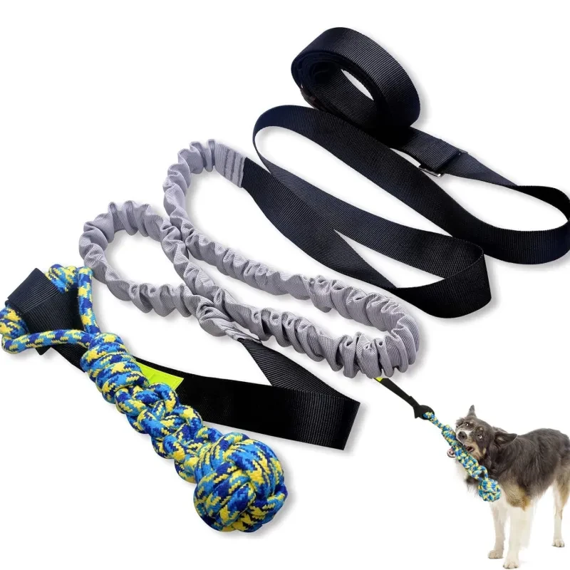 Bungee Tug Toy