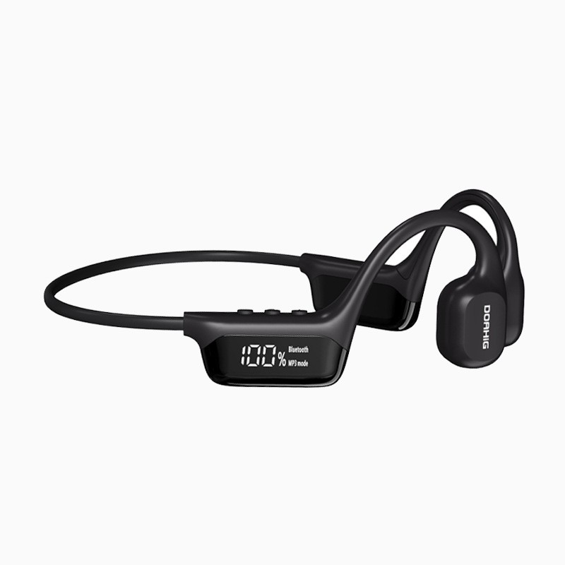 Earphones