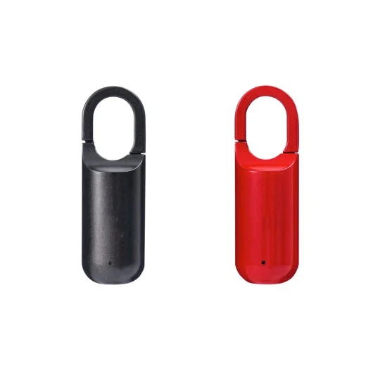 Portable Smart USB Rechargeable Fingerprint Padlock